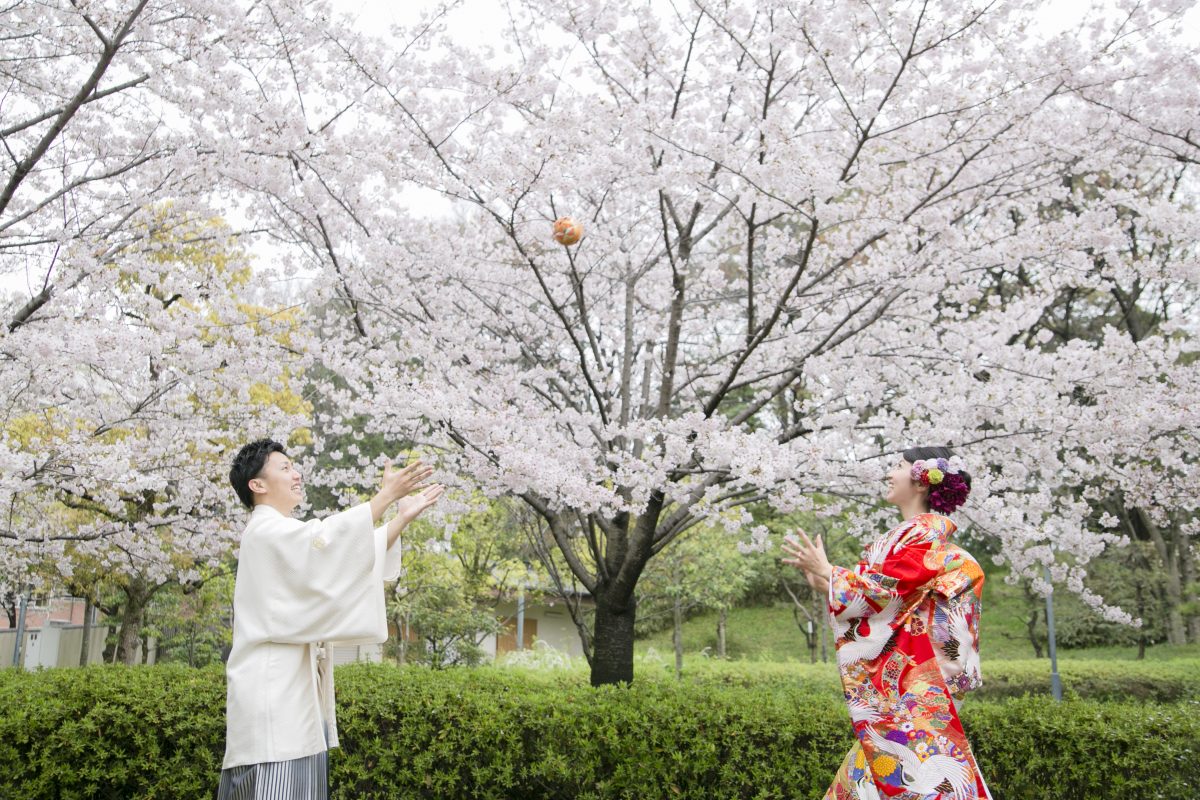 まだ間に合う♡お得な桜フォト